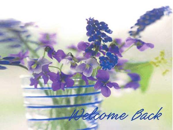 Send Free ECard : Welcome back from Greetings101.com