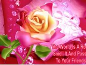 World Is A Rose