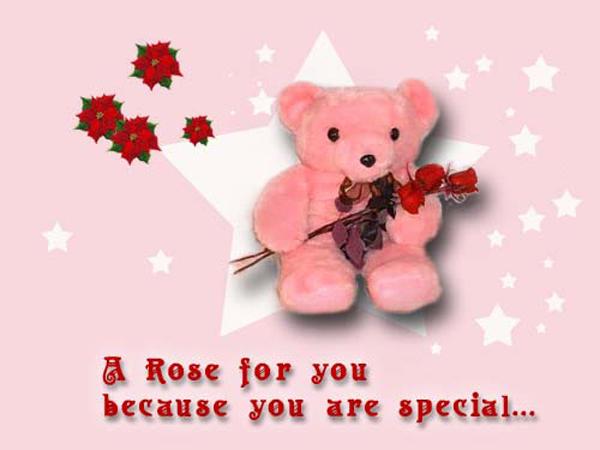 A rose for you Bacause you are special