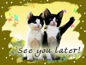 Good bye