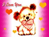 I love you