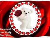 Beautiful Rose For You
