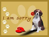I am sorry