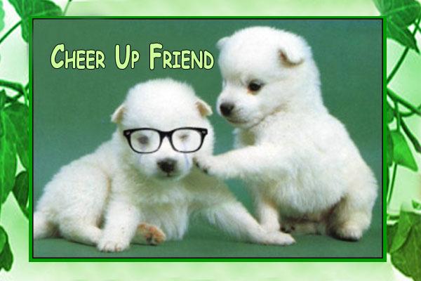 Cheer Up Friend