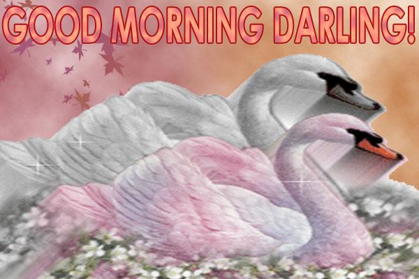 Good Morning Darling