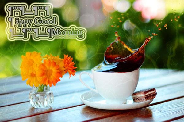 Happy Good Morning