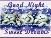 Good Dreams With Beautiful Night