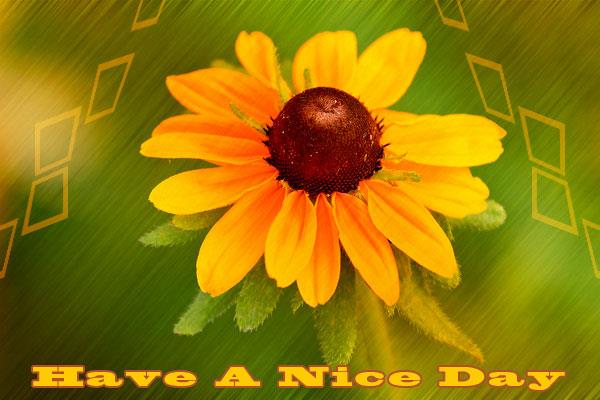 Have A Nice Day