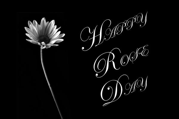 Happy rose day