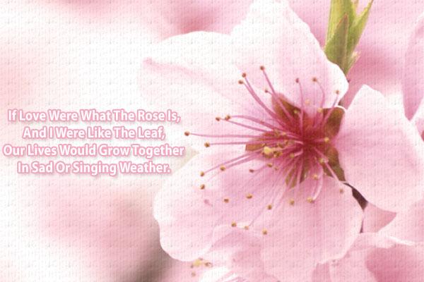 Singing Weather