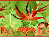 Best Wishes