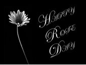 Happy rose day