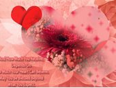 Heart Can Believe