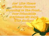 Friendship
