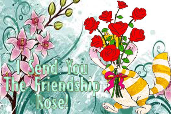 Friendship Rose