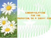 Promotion of job