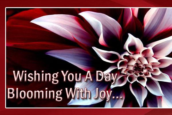 Wishing You A Day