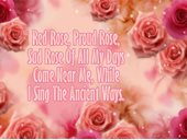 Red Rose