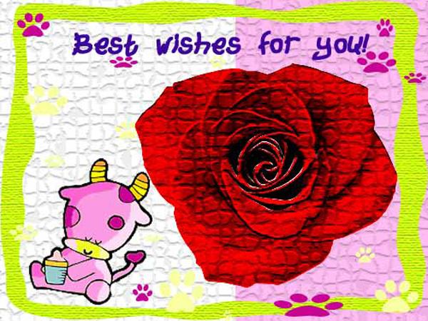 Best wishes for you