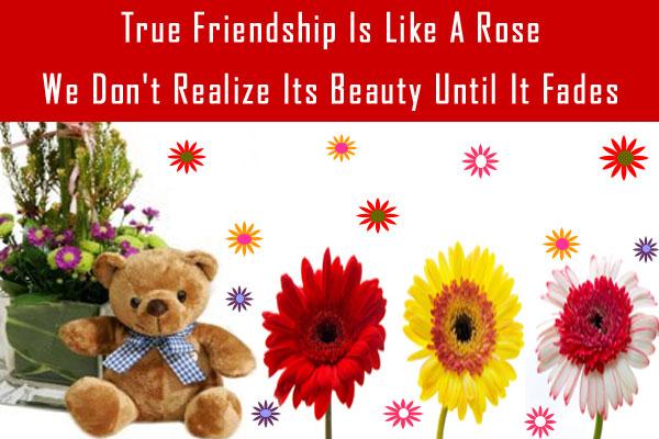 True Friendship Is Like A Rose