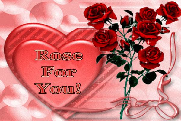 Rose For You