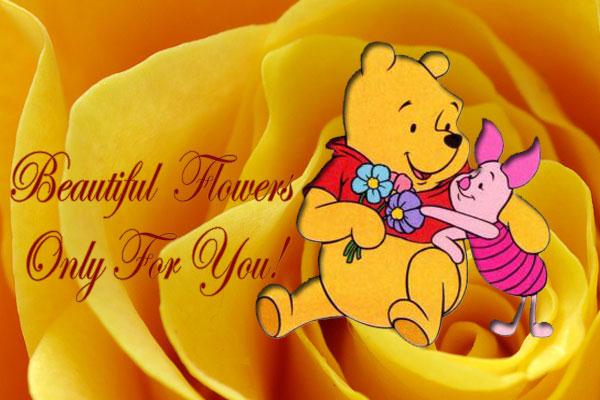 Beautiful Flowers