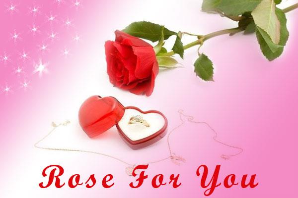 Rose For You