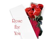 Rose for you