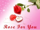 Rose For You