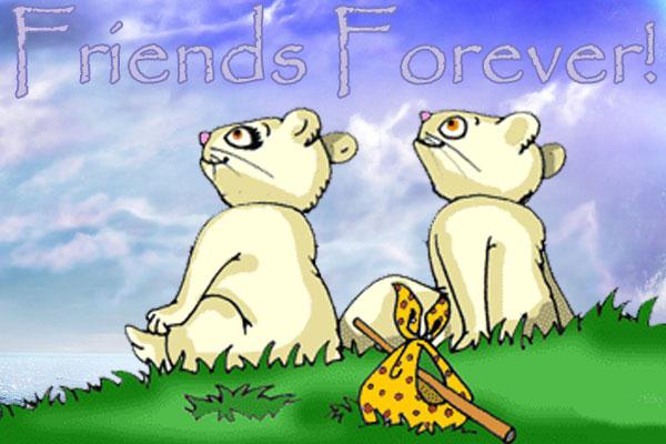 Friends Forever