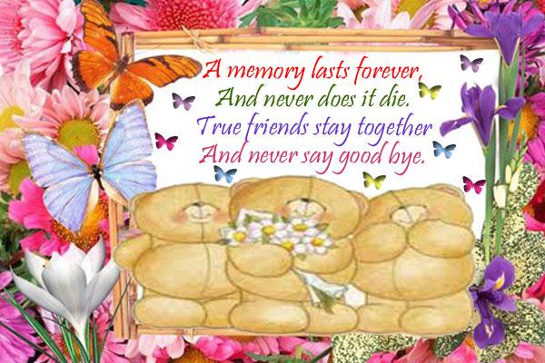 True Friend Forever