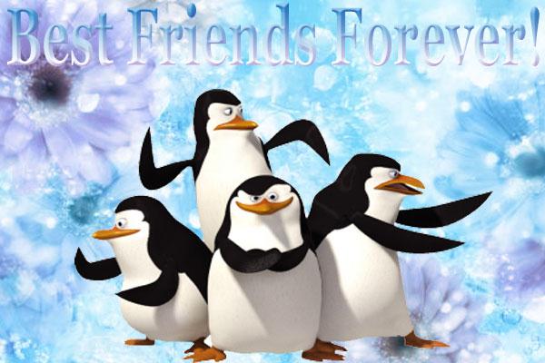 Friends Forever