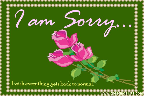 I am sorry...