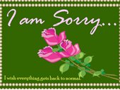 I am sorry...