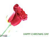 Happy christmas day