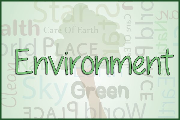  Environment  Clean