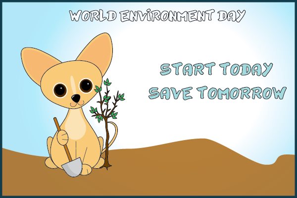 Start Today Save Tomorrow