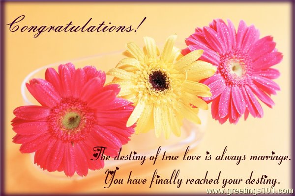 Destiny of True Love